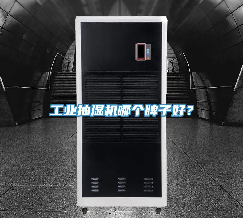 工業抽濕機哪個牌子好？