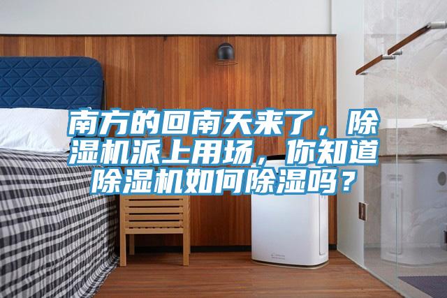 南方的回南天來了，91看片软件大全派上用場，你知道91看片软件大全如何除濕嗎？