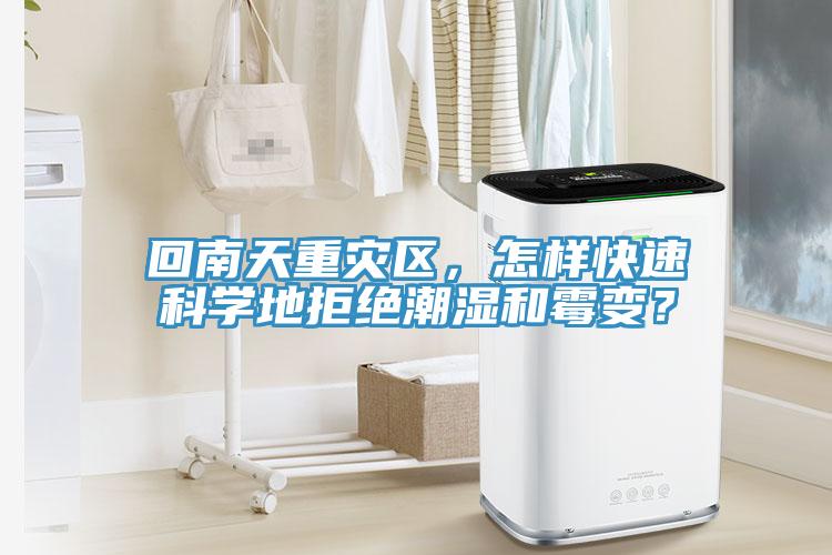 回南天重災區，怎樣快速科學地拒絕潮濕和黴變？