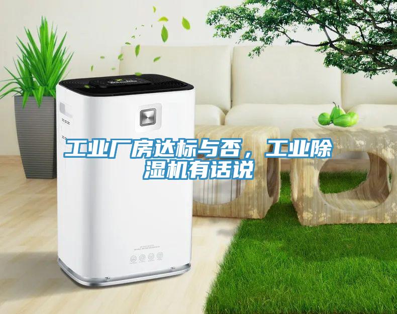 工業廠房達標與否，工業91看片软件大全有話說