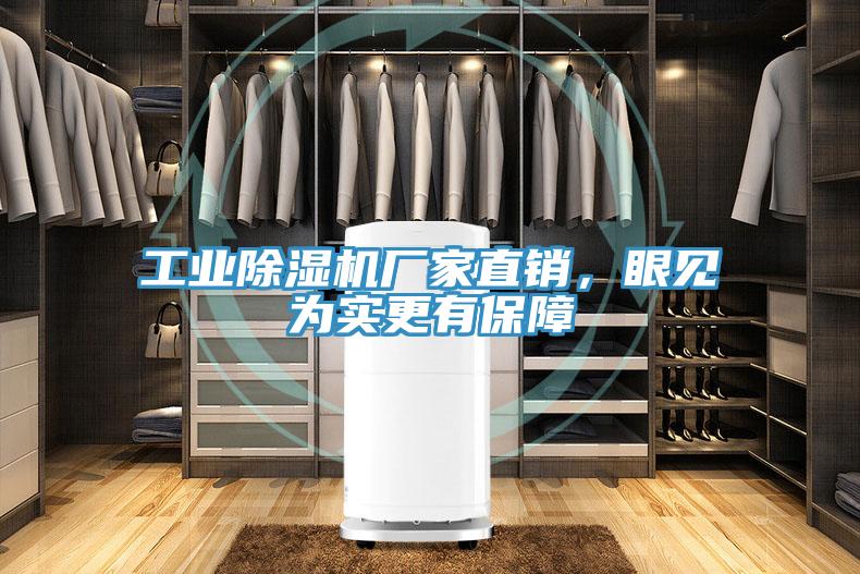 工業91看片软件大全廠家直銷，眼見為實更有保障