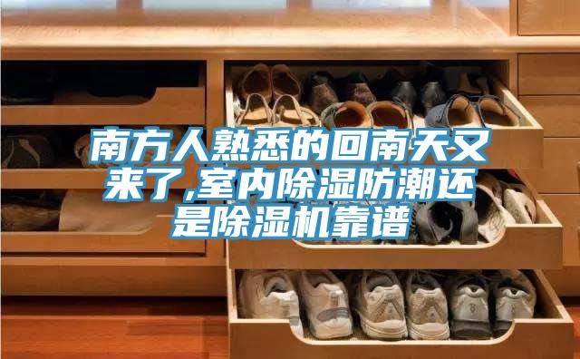 南方人熟悉的回南天又來了,室內除濕防潮還是91看片软件大全靠譜