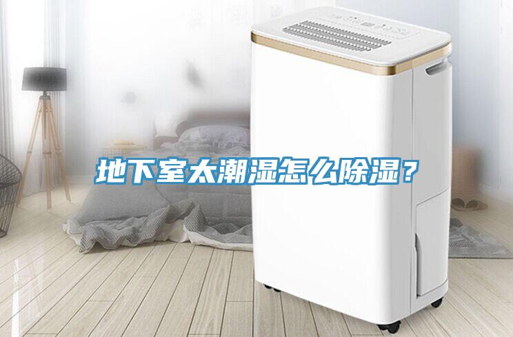 地下室太潮濕怎麽除濕？