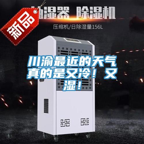 川渝最近的天氣真的是又冷！又濕！