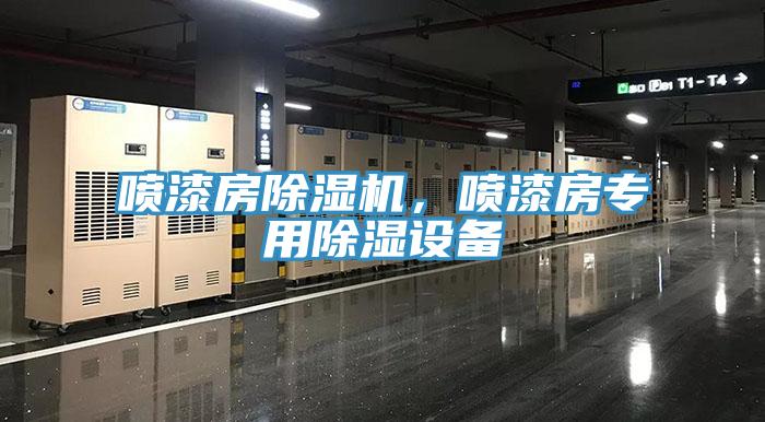 噴漆房91看片软件大全，噴漆房專用除濕設備
