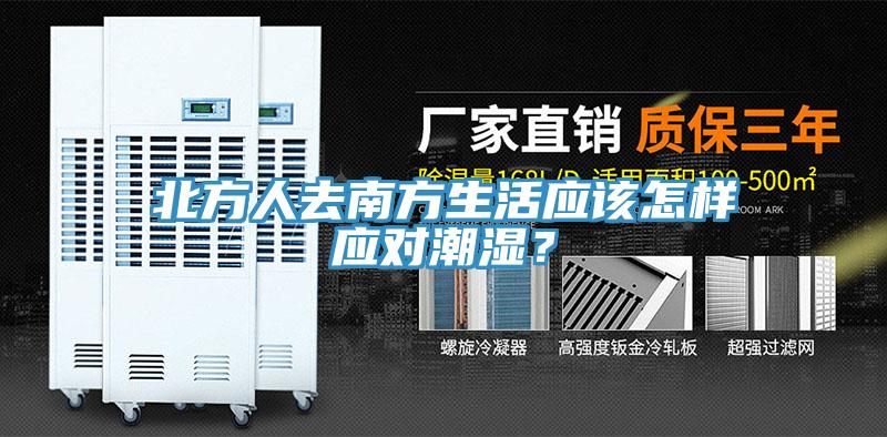 北方人去南方生活應該怎樣應對潮濕？