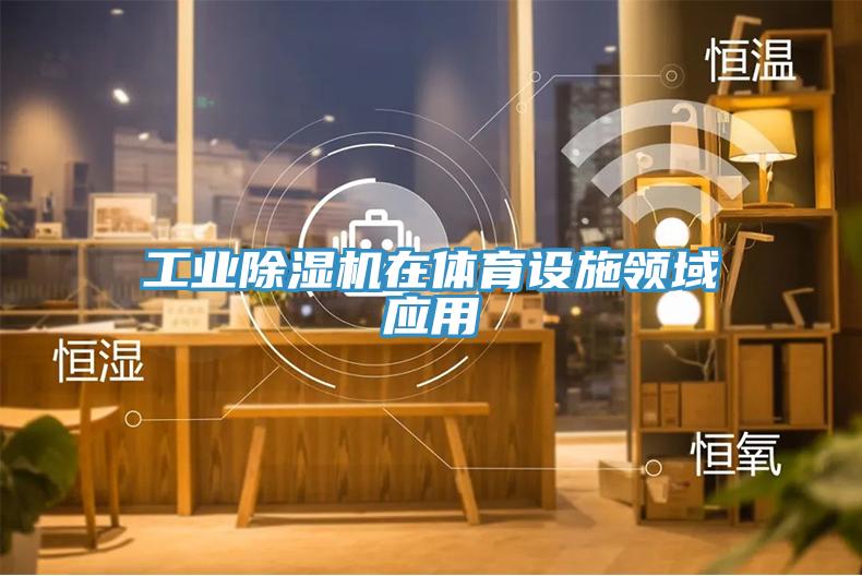 工業91看片软件大全在體育設施領域應用
