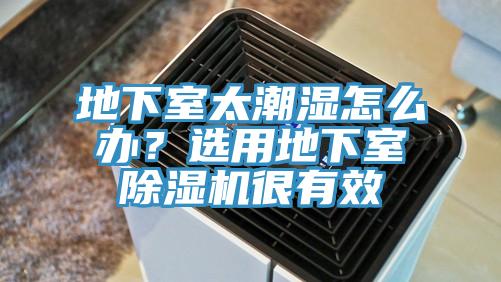 地下室太潮濕怎麽辦？選用地下室91看片软件大全很有效