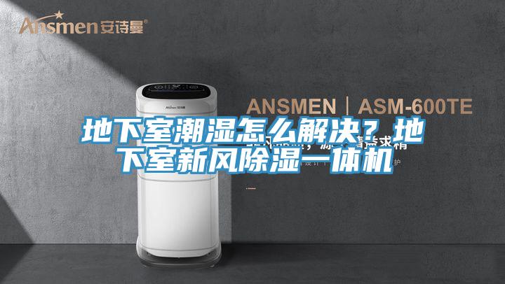 地下室潮濕怎麽解決？地下室新風除濕一體機