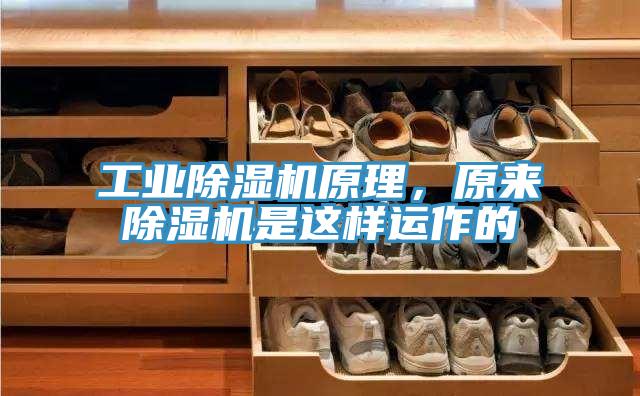 工業91看片软件大全原理，原來91看片软件大全是這樣運作的