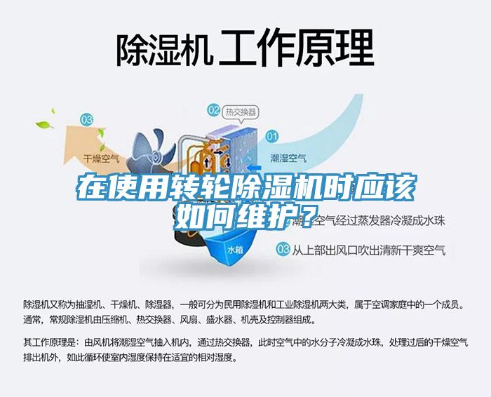 在使用轉輪91看片软件大全時應該如何維護？