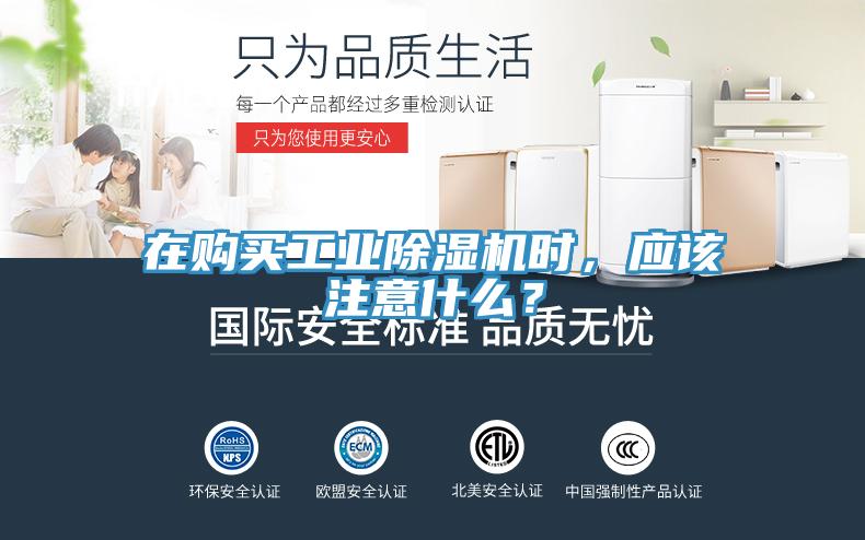 在購買工業91看片软件大全時，應該注意什麽？