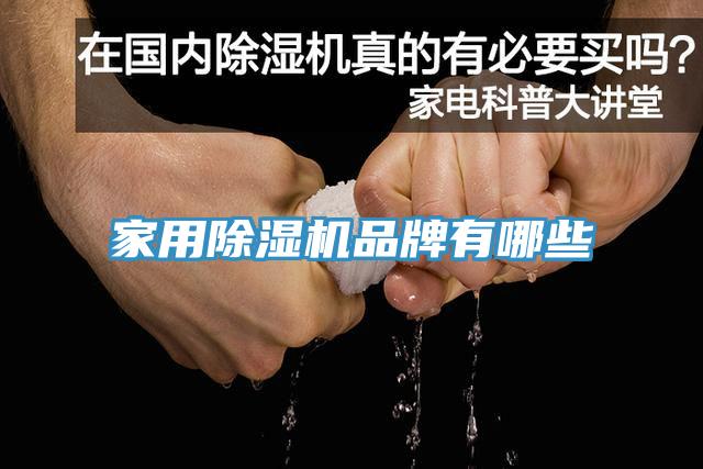 家用91看片软件大全品牌有哪些