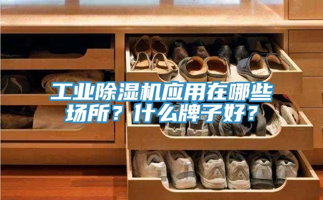 工業91看片软件大全應用在哪些場所？什麽牌子好？
