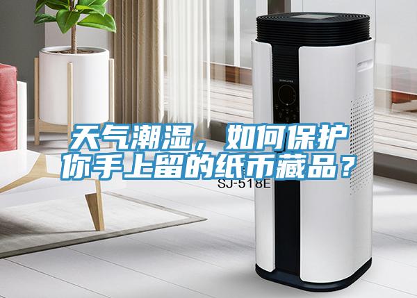天氣潮濕，如何保護你手上留的紙幣藏品？