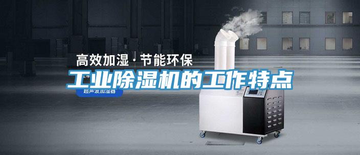 工業91看片软件大全的工作特點