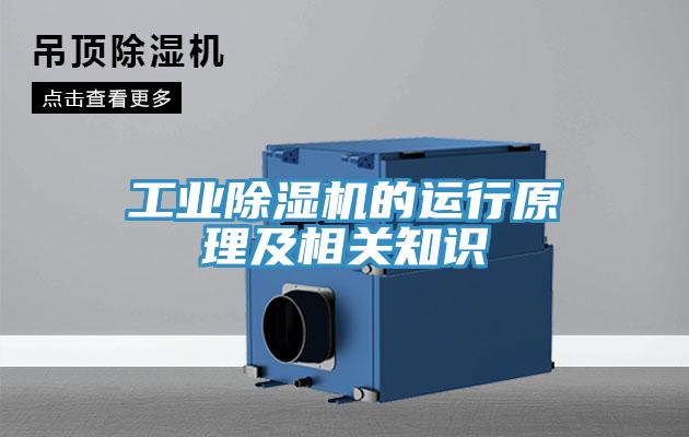 工業91看片软件大全的運行原理及相關知識