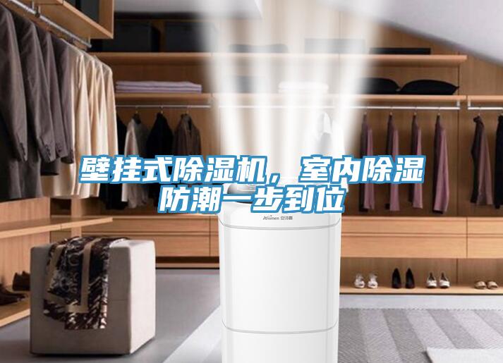 壁掛式91看片软件大全，室內除濕防潮一步到位