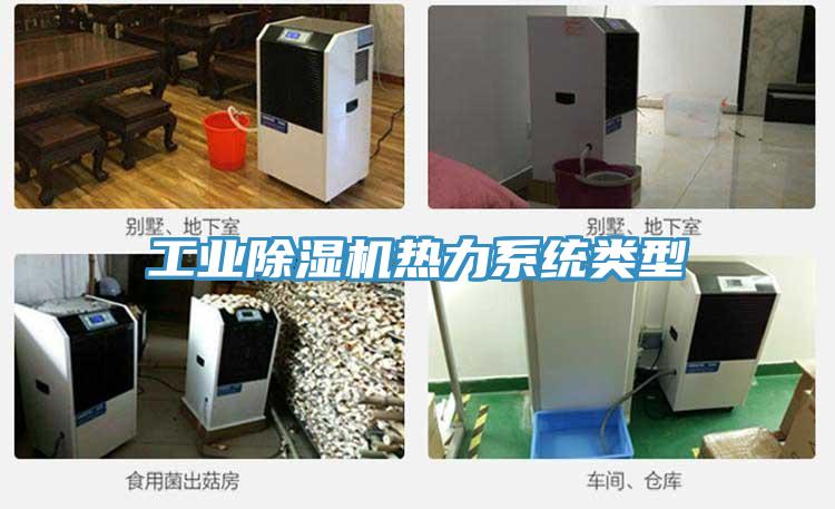 工業91看片软件大全熱力係統類型