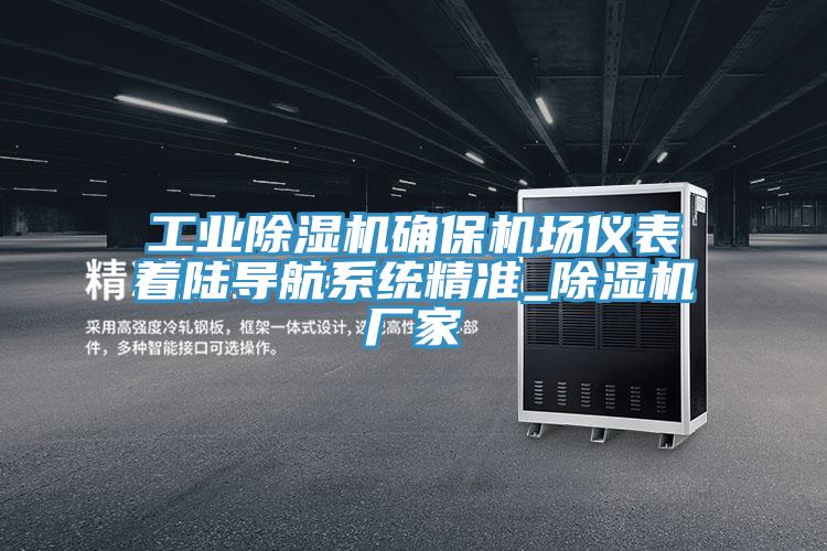 工業91看片软件大全確保機場儀表著陸導航係統精準_91看片软件大全廠家