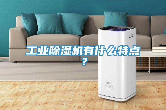 工業91看片软件大全有什麽特點？