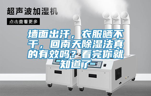 牆麵出汗，衣服曬不幹，回南天除濕法真的有效嗎？看完你就知道了