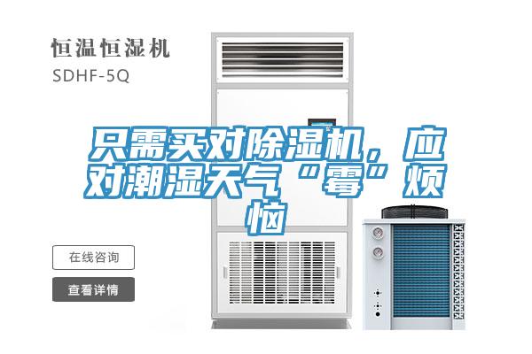 隻需買對91看片软件大全，應對潮濕天氣“黴”煩惱