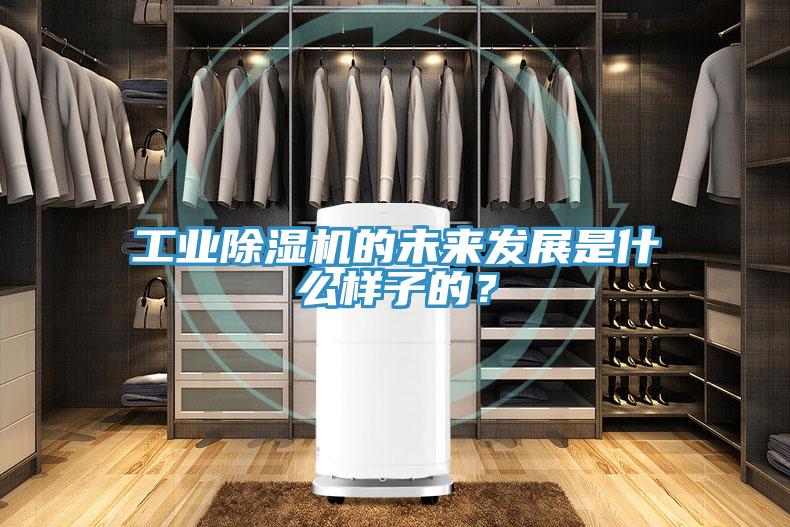 工業91看片软件大全的未來發展是什麽樣子的？