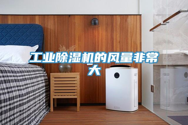 工業91看片软件大全的風量非常大