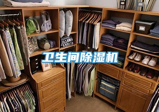 衛生間91看片软件大全