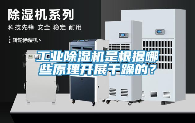 工業91看片软件大全是根據哪些原理開展幹躁的？