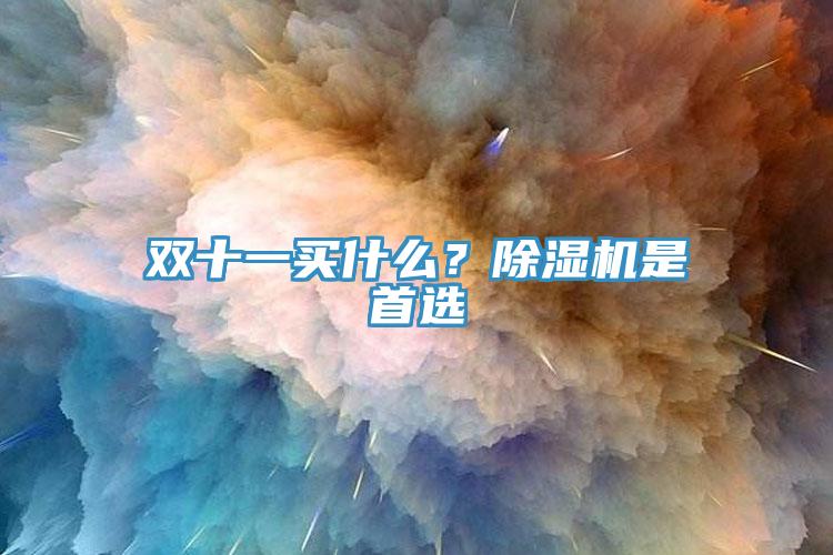 雙十一買什麽？91看片软件大全是首選
