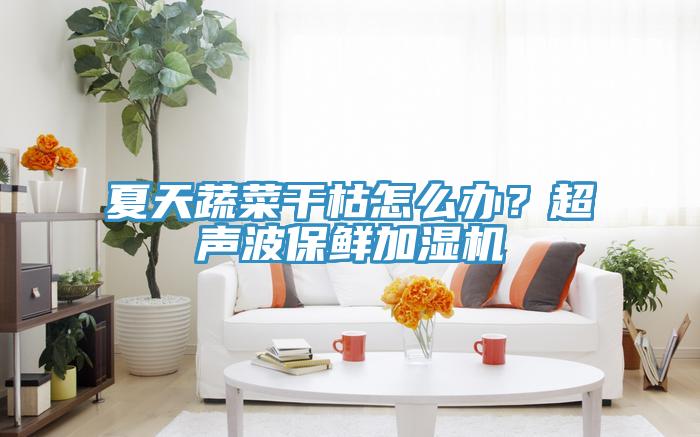 夏天蔬菜幹枯怎麽辦？超聲波保鮮加濕機