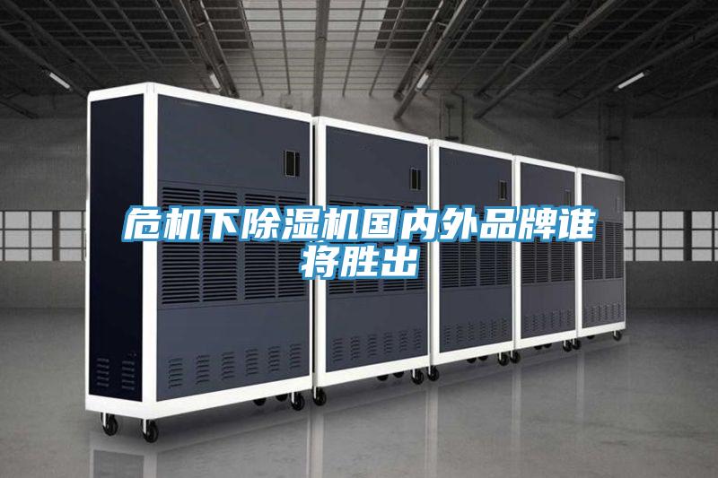 危機下91看片软件大全國內外品牌誰將勝出