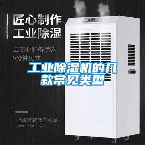 工業91看片软件大全的幾款常見類型