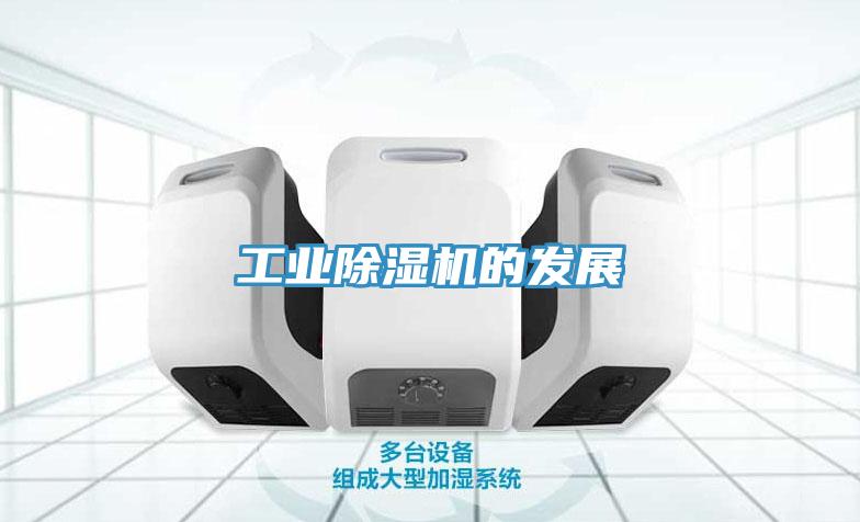 工業91看片软件大全的發展
