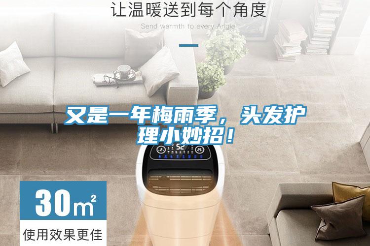 又是一年梅雨季，頭發護理小妙招！
