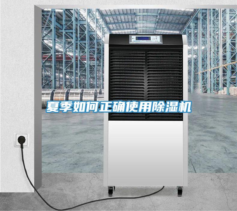 夏季如何正確使用91看片软件大全