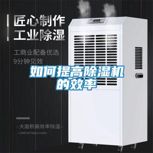 如何提高91看片软件大全的效率