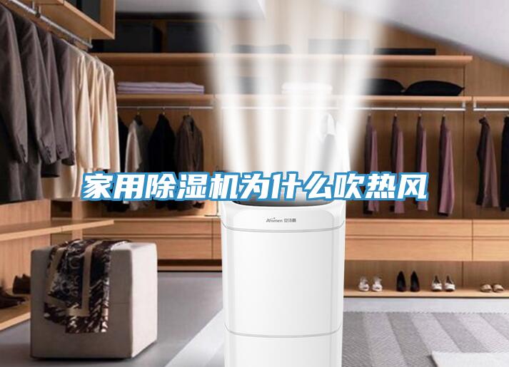 家用91看片软件大全為什麽吹熱風