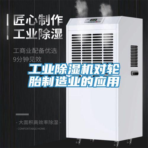 工業91看片软件大全對輪胎製造業的應用