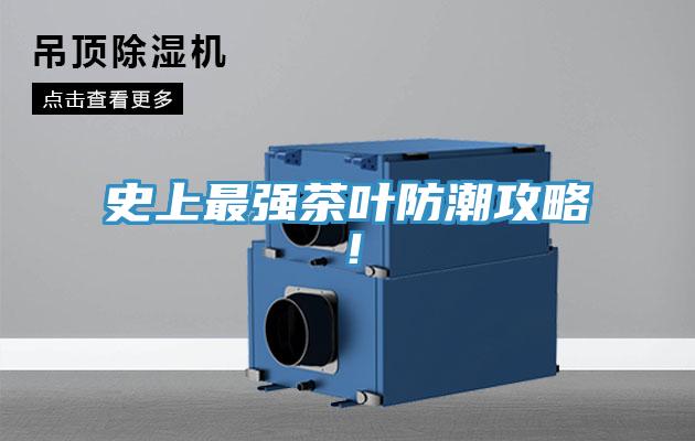 史上最強茶葉防潮攻略！