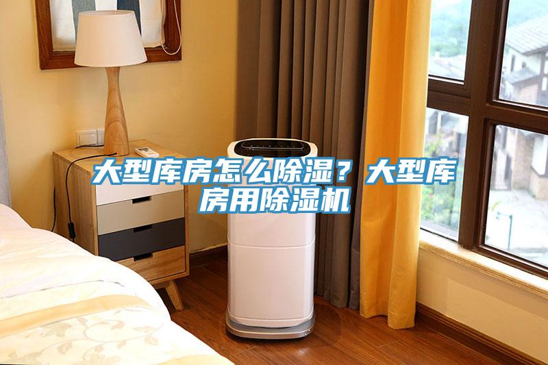 大型庫房怎麽除濕？大型庫房用91看片软件大全
