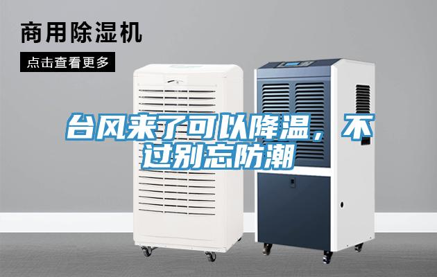 台風來了可以降溫，不過別忘防潮
