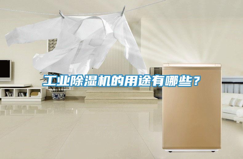 工業91看片软件大全的用途有哪些？