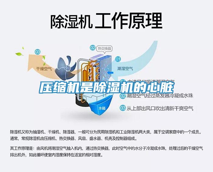 壓縮機是91看片软件大全的心髒