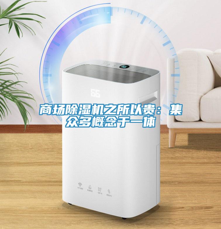 商場91看片软件大全之所以貴：集眾多概念於一體