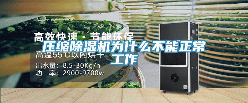 壓縮91看片软件大全為什麽不能正常工作