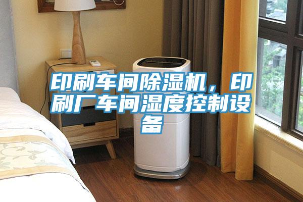 印刷車間91看片软件大全，印刷廠車間濕度控製設備