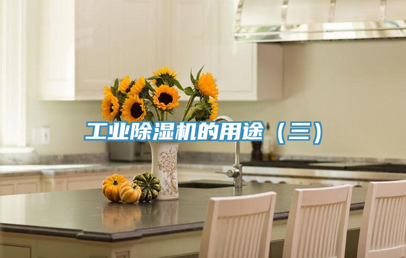 工業91看片软件大全的用途（三）
